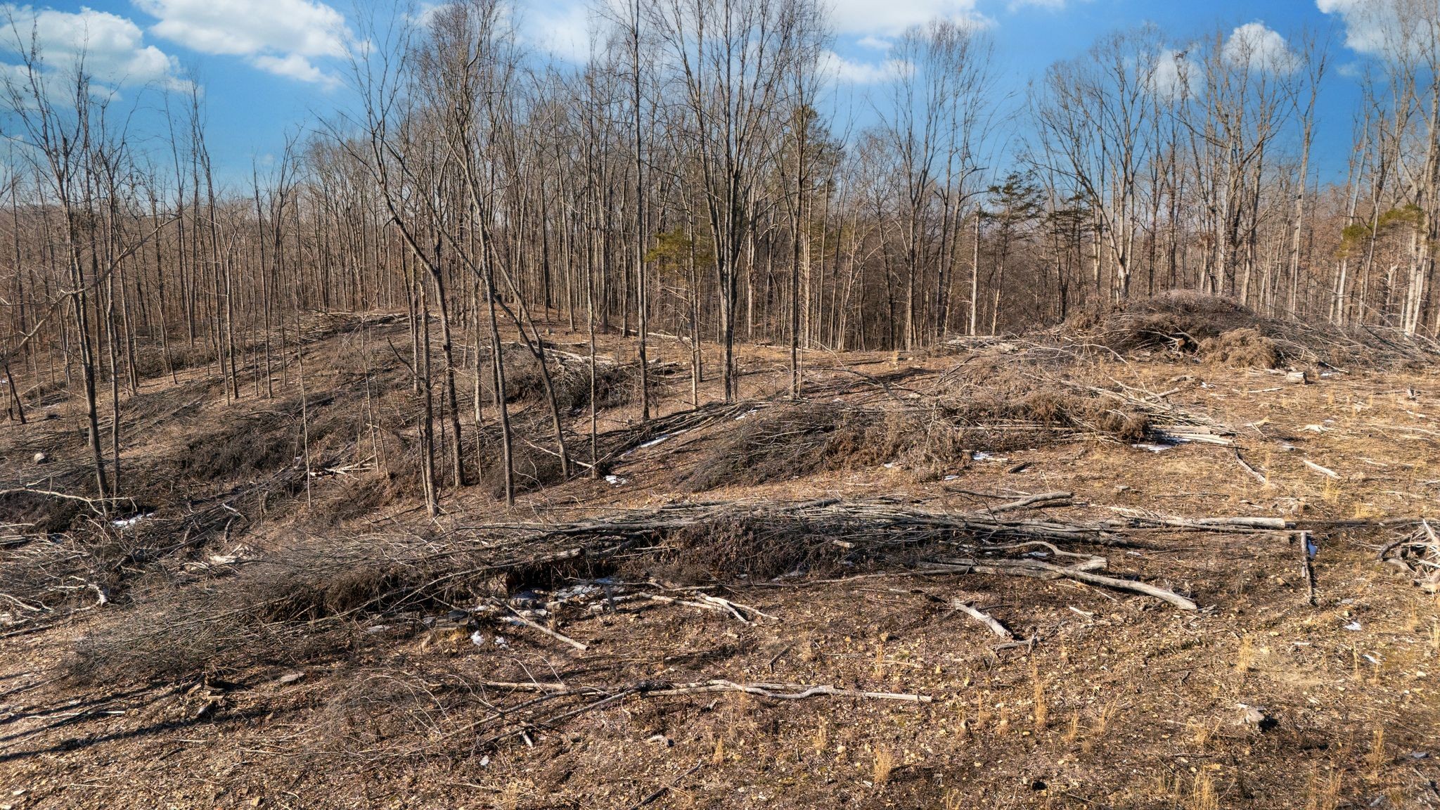 0 Singleton Road Dickson, TN 37055 - Photo 15 of 57 a view of house with trees