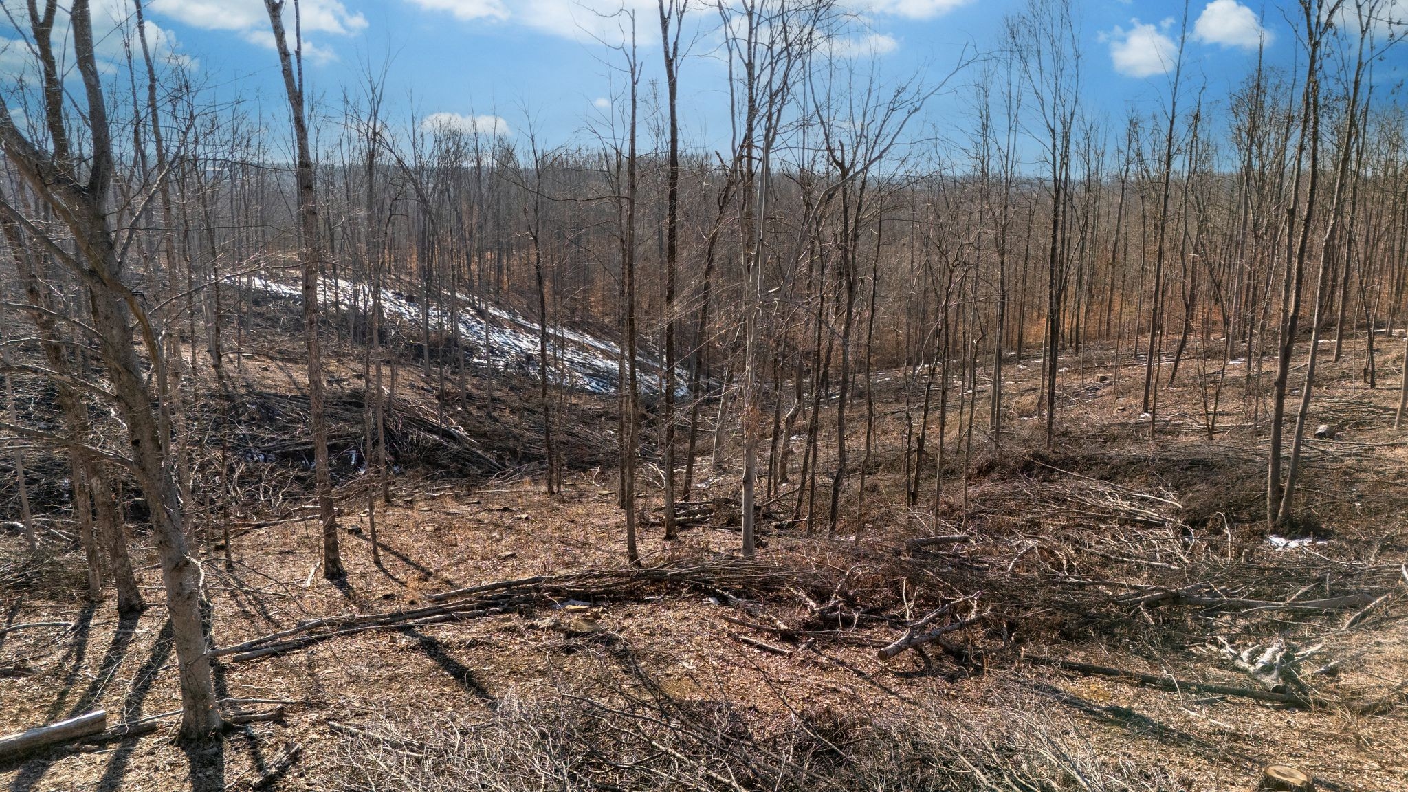 0 Singleton Road Dickson, TN 37055 - Photo 16 of 57 a view of a backyard with trees