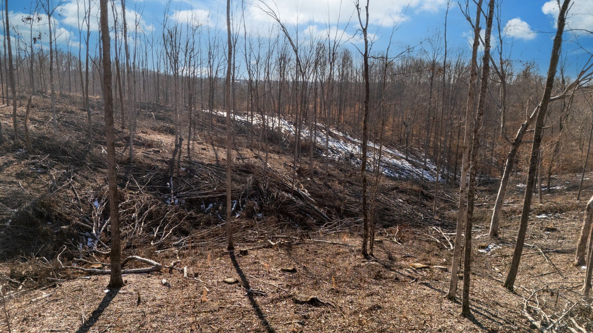 0 Singleton Road Dickson, TN 37055 - Photo 17 of 57 a view of a backyard with trees