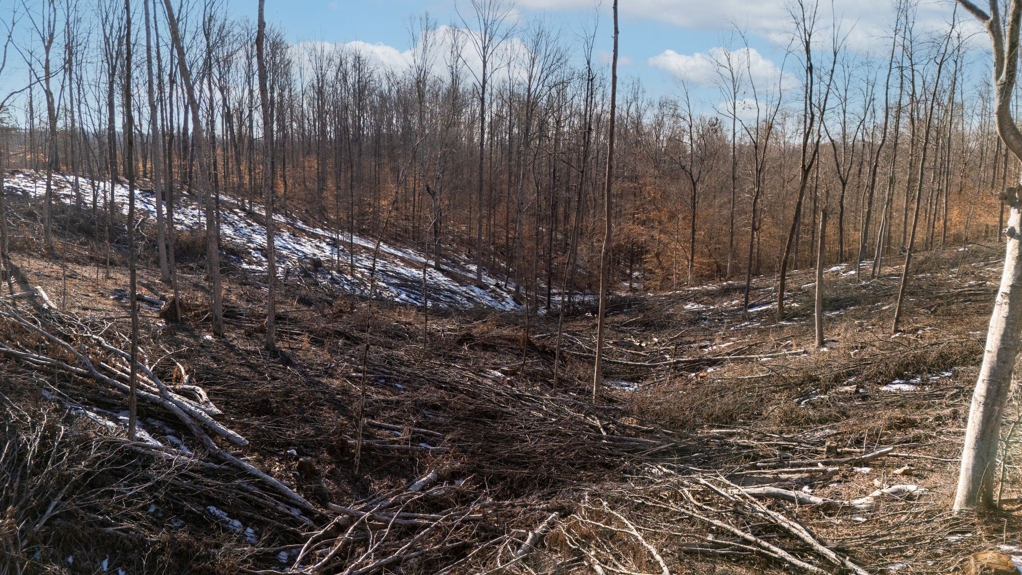 0 Singleton Road Dickson, TN 37055 - Photo 18 of 57