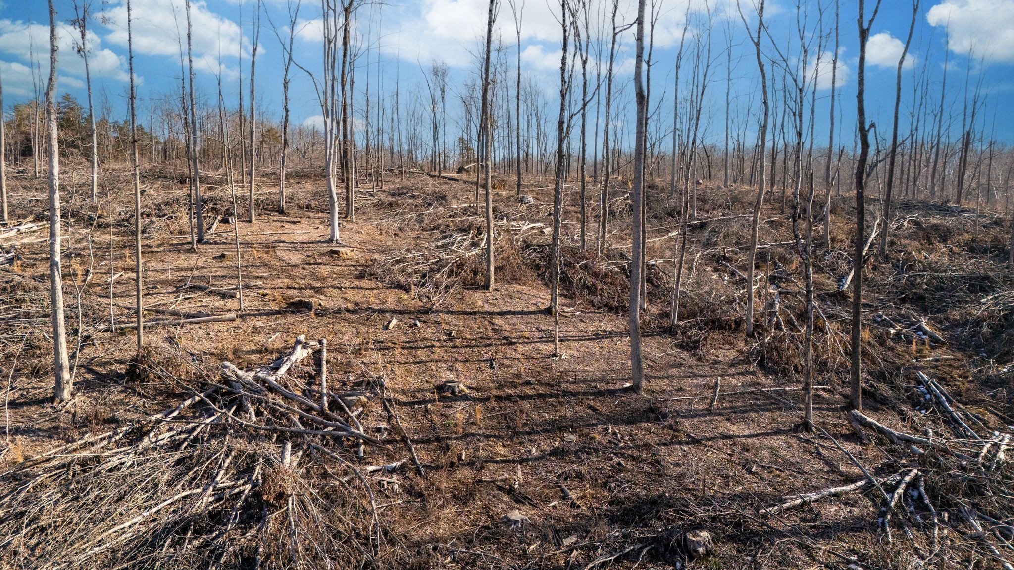 0 Singleton Road Dickson, TN 37055 - Photo 20 of 57 a view of wooden fence