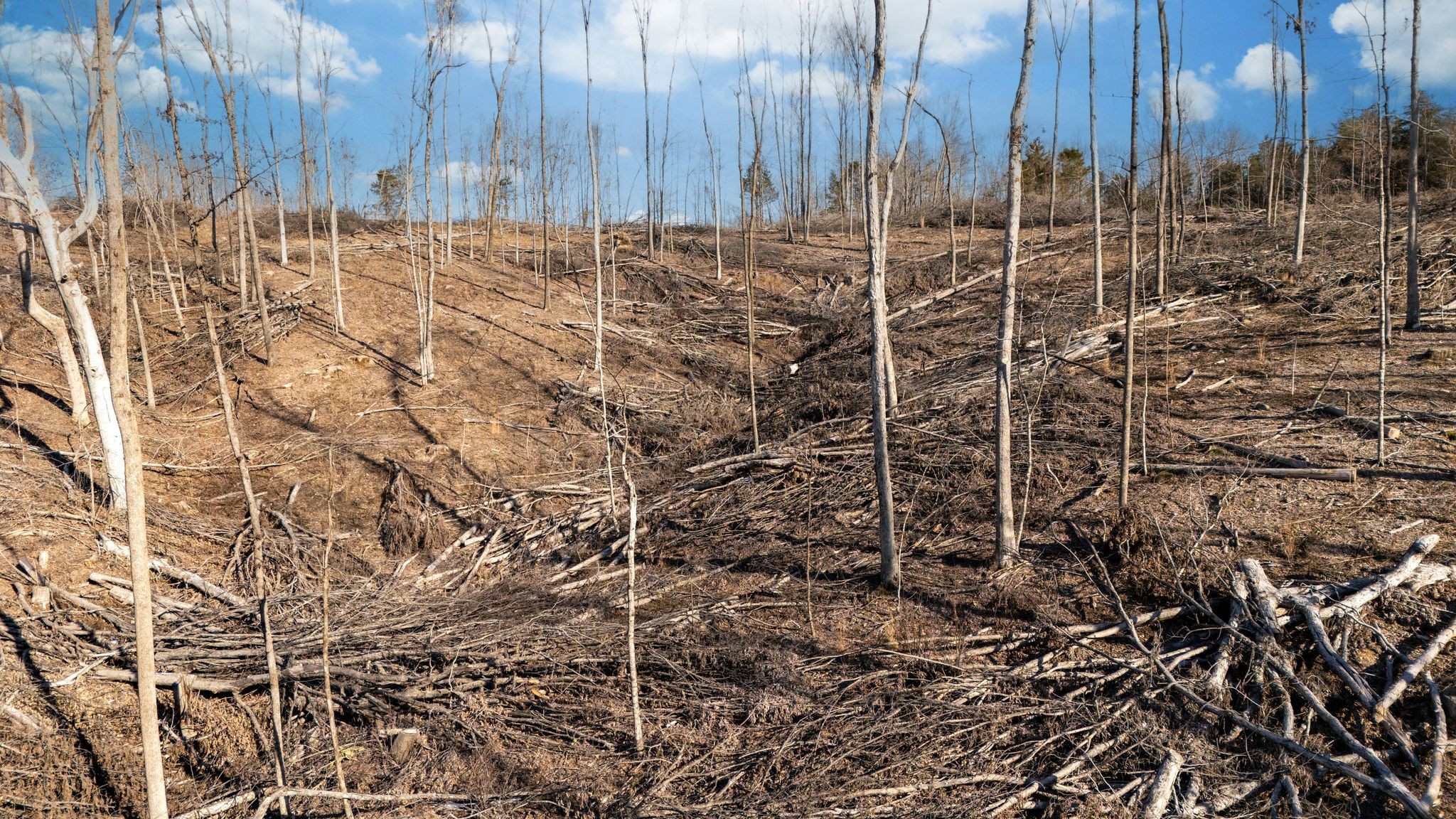 0 Singleton Road Dickson, TN 37055 - Photo 21 of 57 a view of under construction area