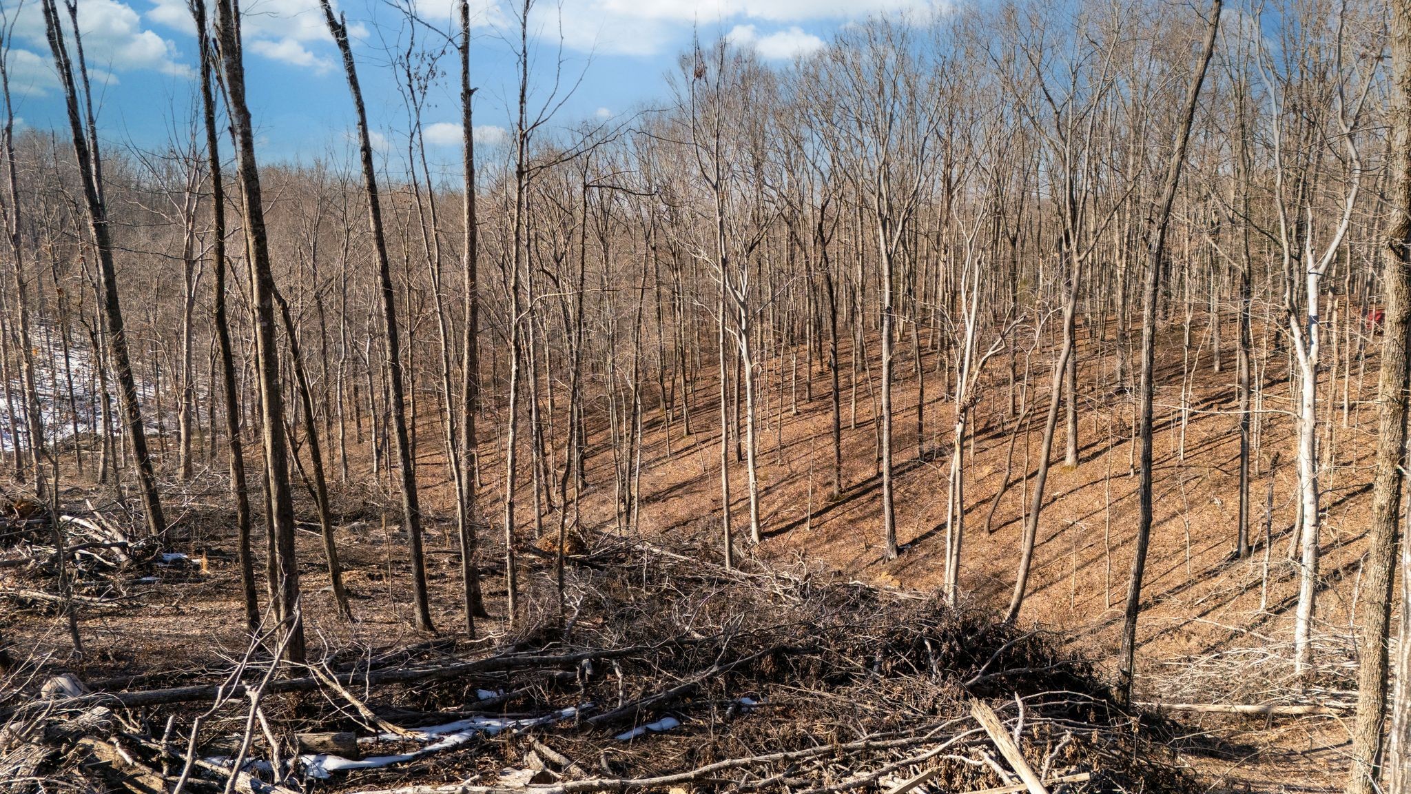 0 Singleton Road Dickson, TN 37055 - Photo 22 of 57 a view of a backyard of a building