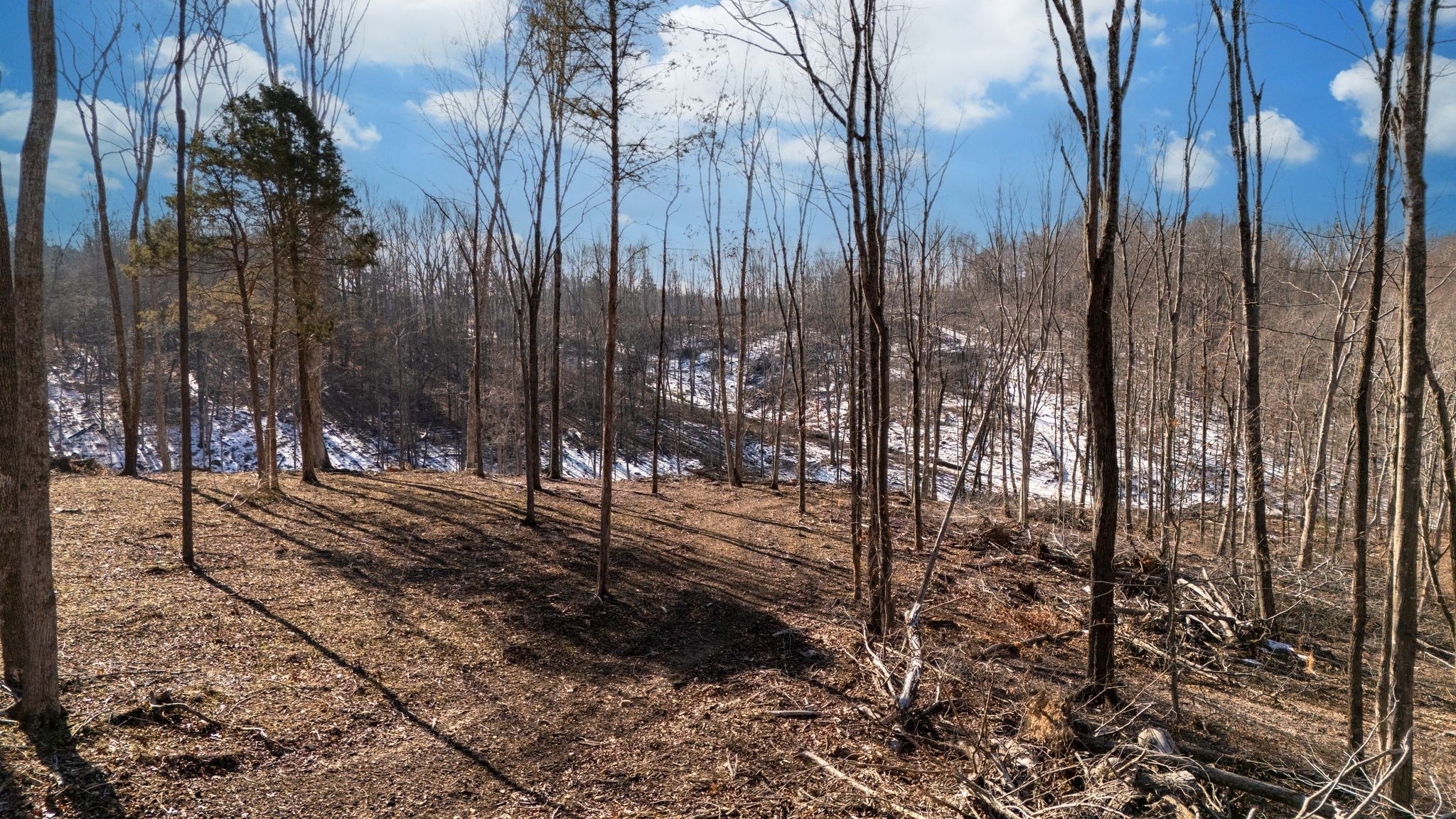 0 Singleton Road Dickson, TN 37055 - Photo 23 of 57 a view of a park with large trees