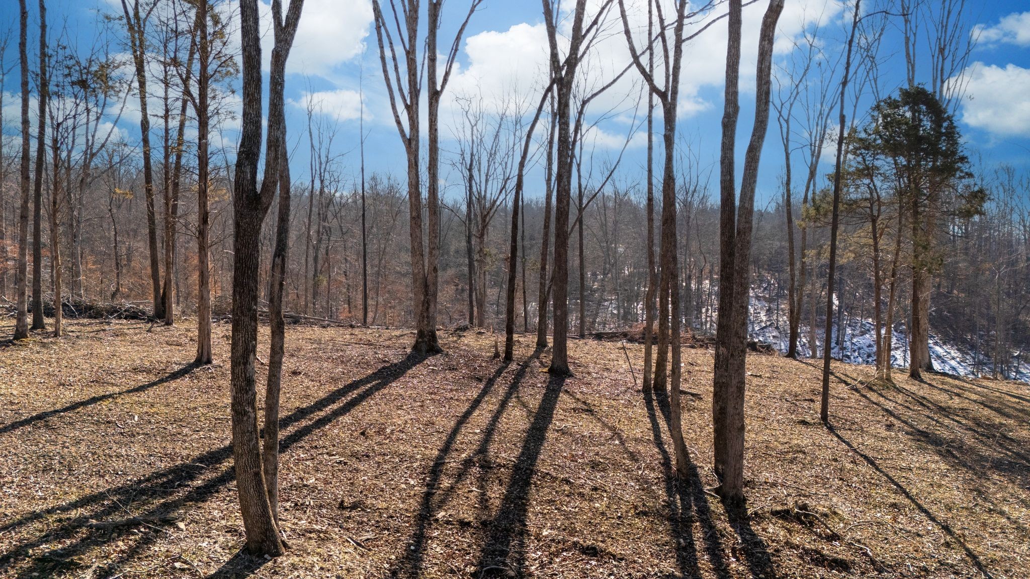 0 Singleton Road Dickson, TN 37055 - Photo 24 of 57