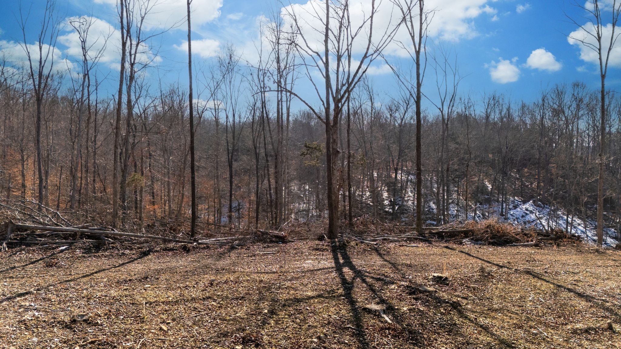 0 Singleton Road Dickson, TN 37055 - Photo 25 of 57 a view of a backyard of the house