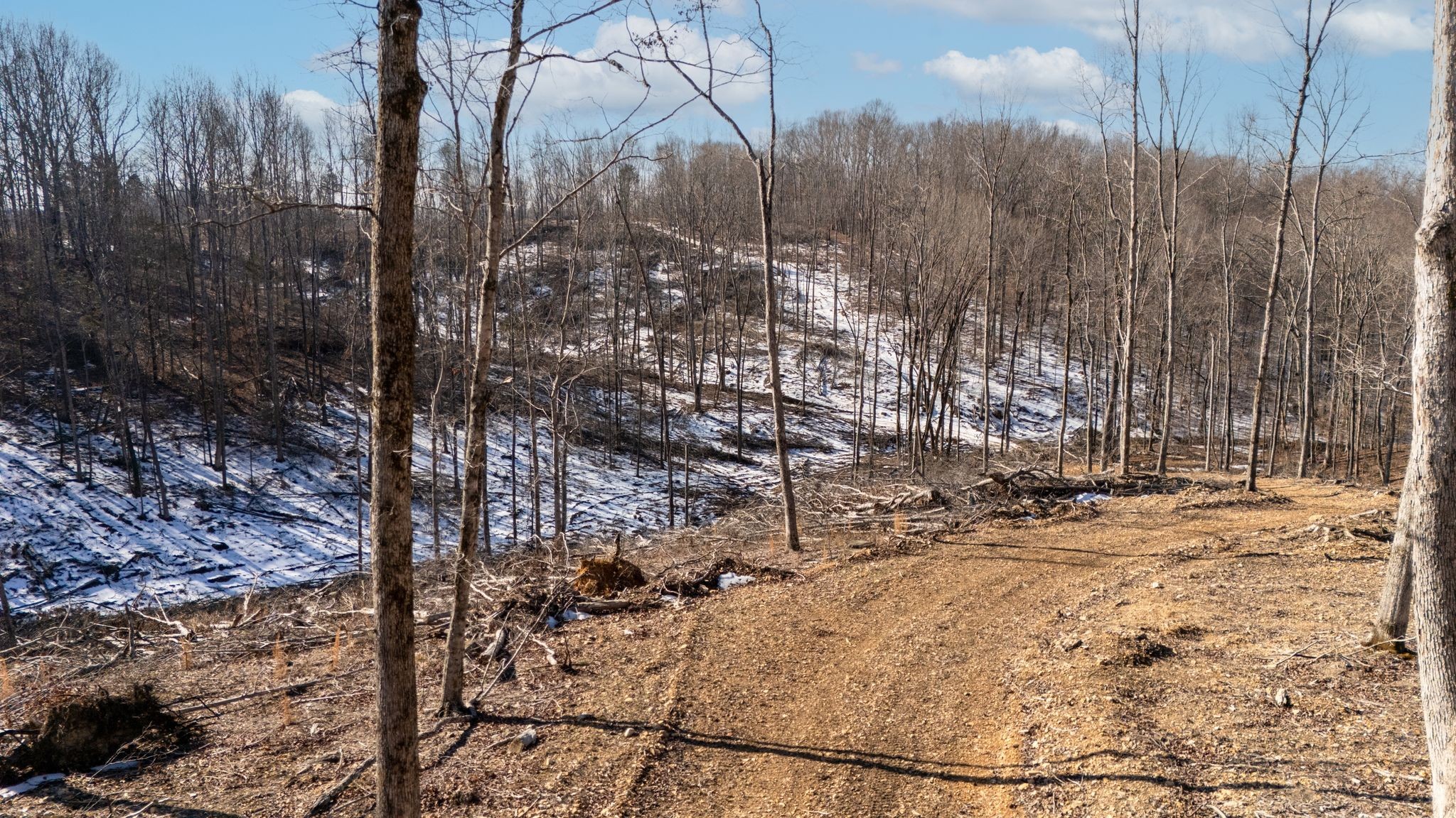 0 Singleton Road Dickson, TN 37055 - Photo 27 of 57 a view of a yard with trees