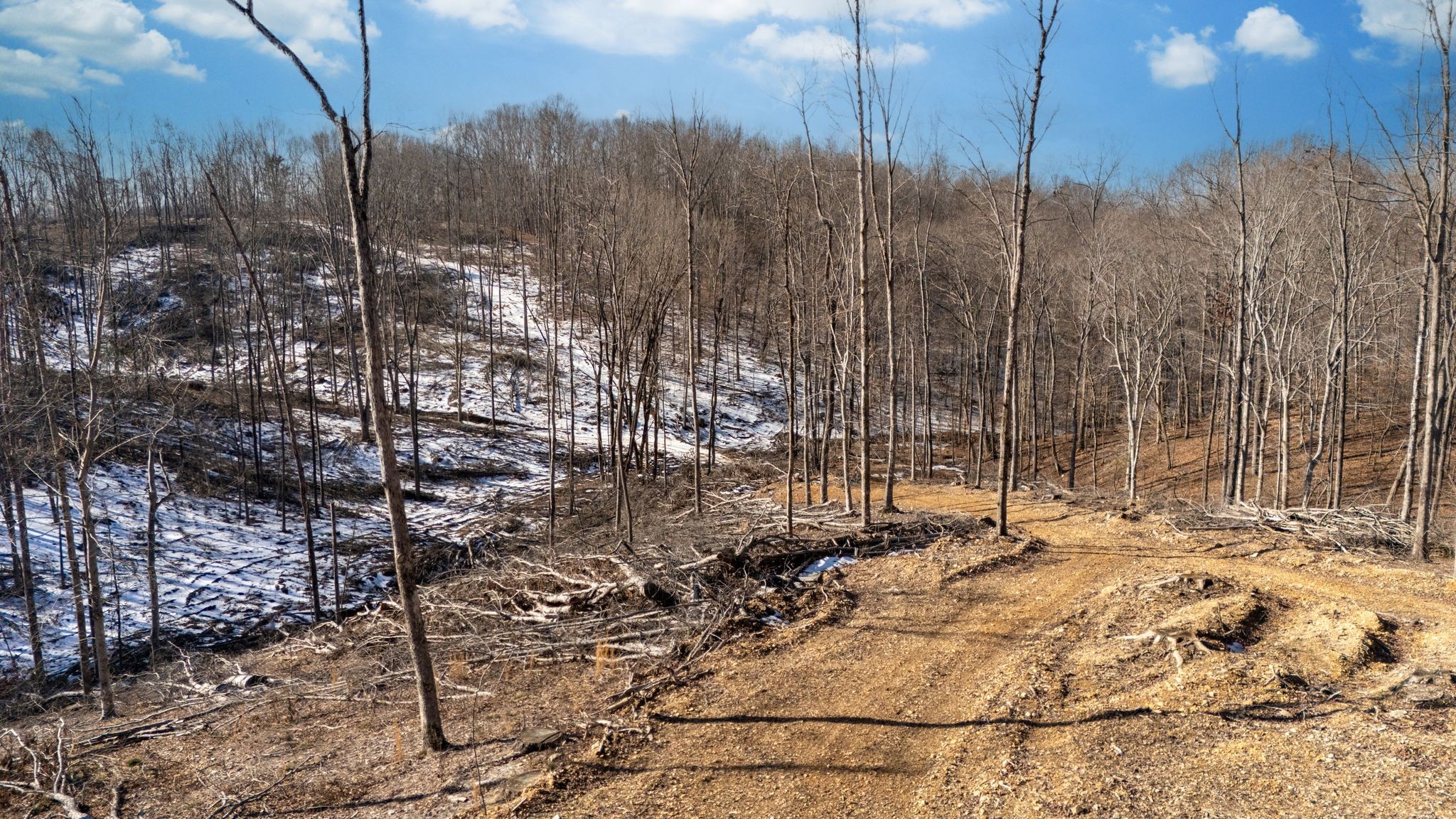 0 Singleton Road Dickson, TN 37055 - Photo 28 of 57 a view of a covered with snow