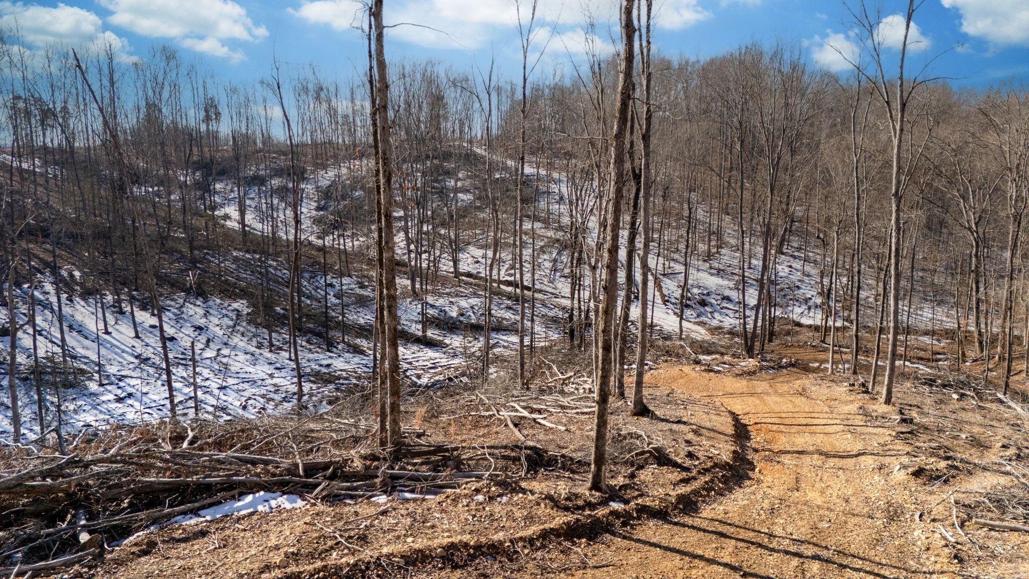 0 Singleton Road Dickson, TN 37055 - Photo 29 of 57 a view of a forest filled with trees