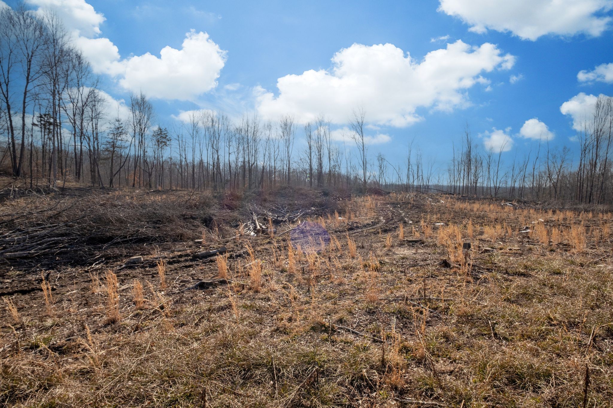 0 Singleton Road Dickson, TN 37055 - Photo 30 of 57 a view of a yard with wooden fence