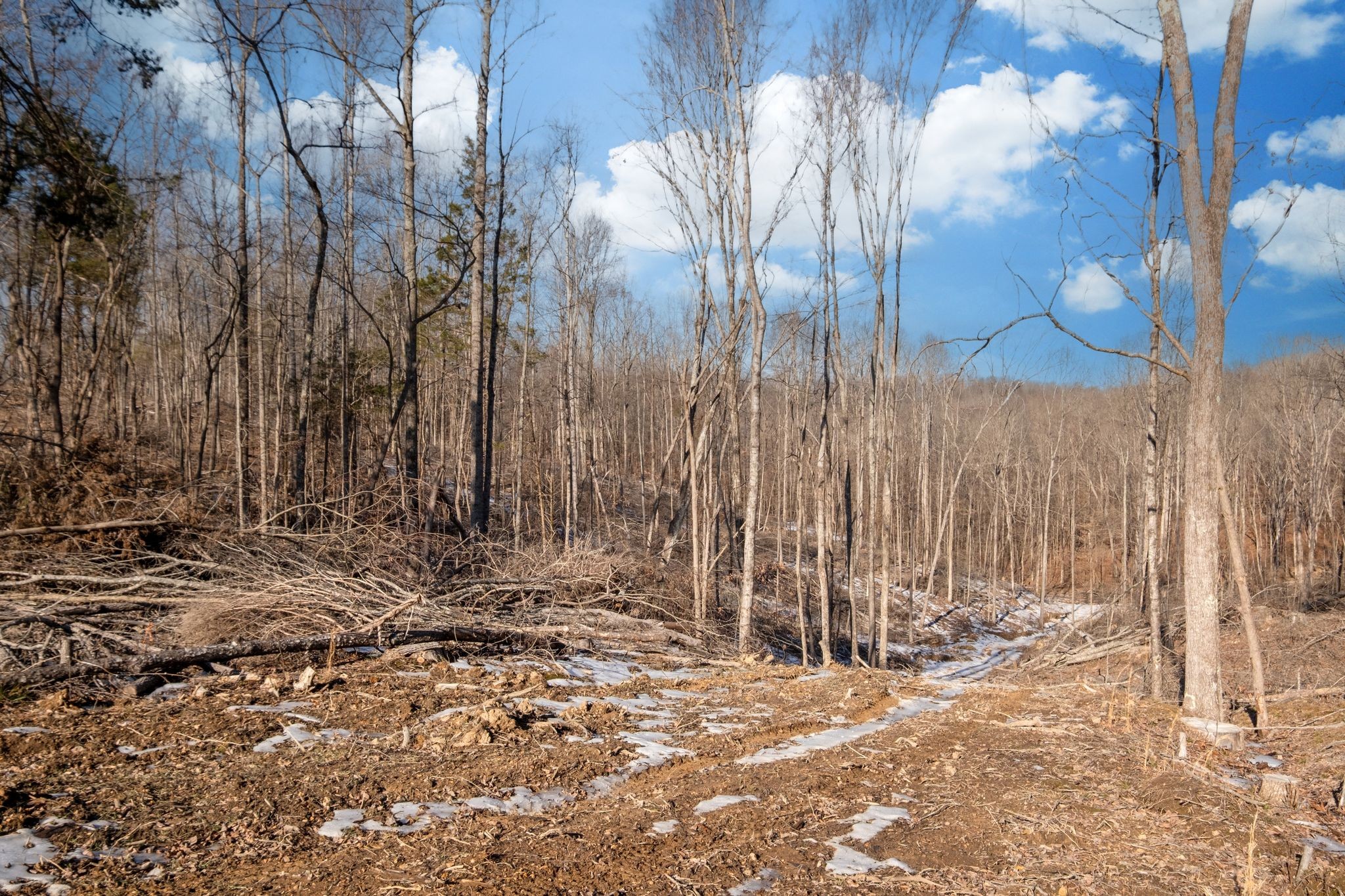 0 Singleton Road Dickson, TN 37055 - Photo 31 of 57 a view of a backyard of the house