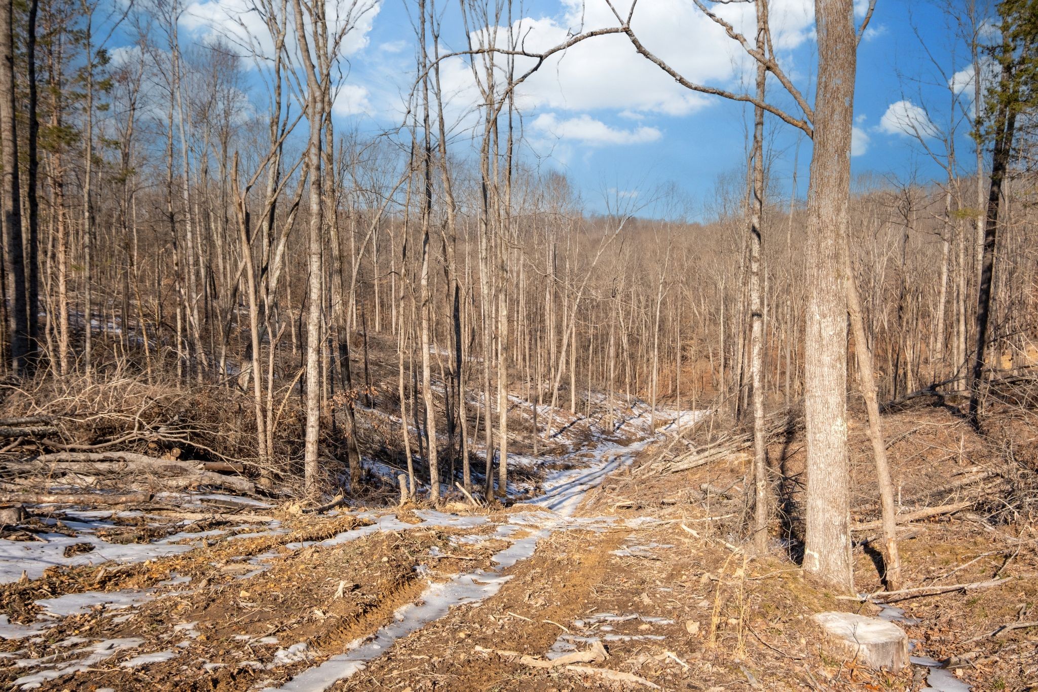 0 Singleton Road Dickson, TN 37055 - Photo 32 of 57