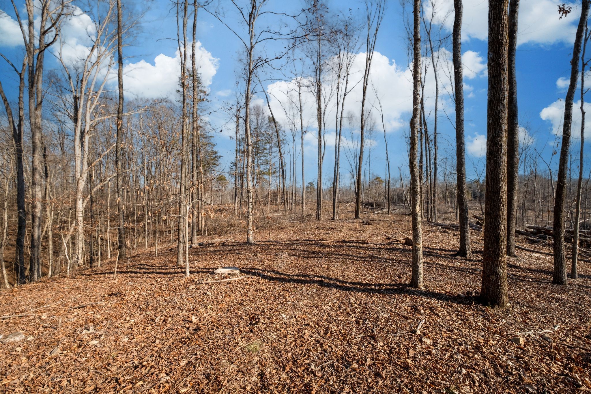 0 Singleton Road Dickson, TN 37055 - Photo 34 of 57