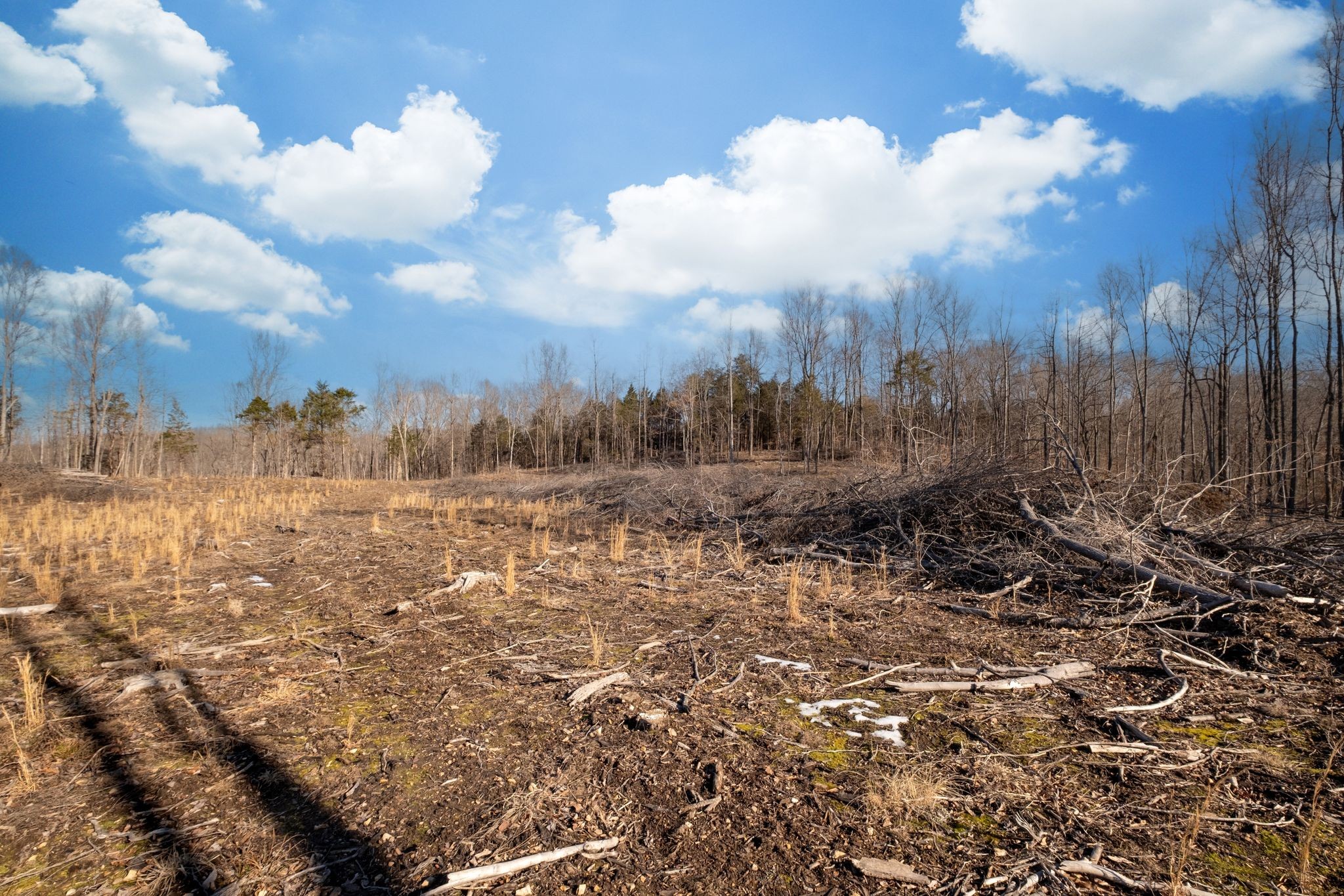 0 Singleton Road Dickson, TN 37055 - Photo 37 of 57 a view of a large yard with lots of green space