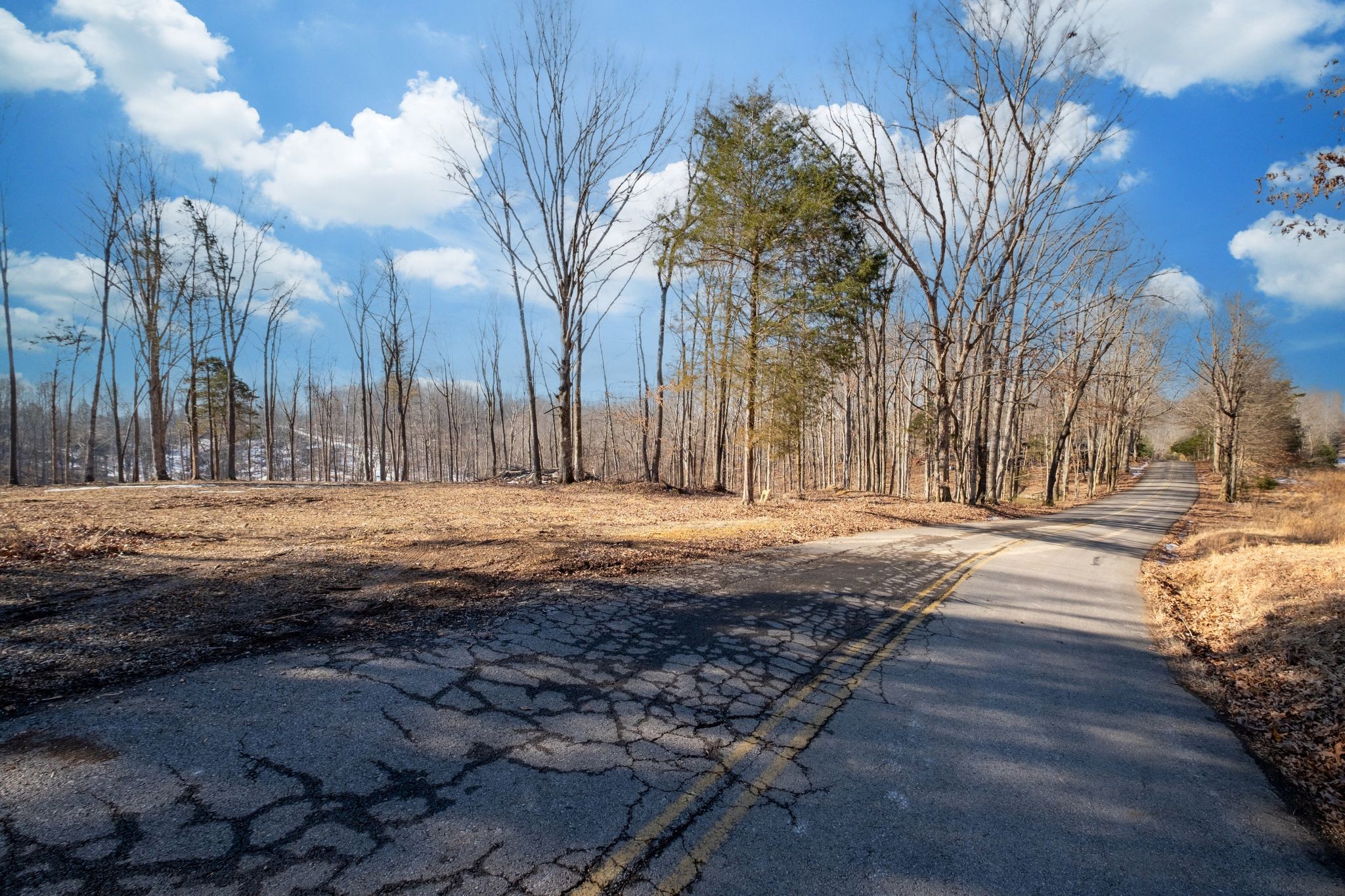 0 Singleton Road Dickson, TN 37055 - Photo 4 of 57 a street view covered with snow
