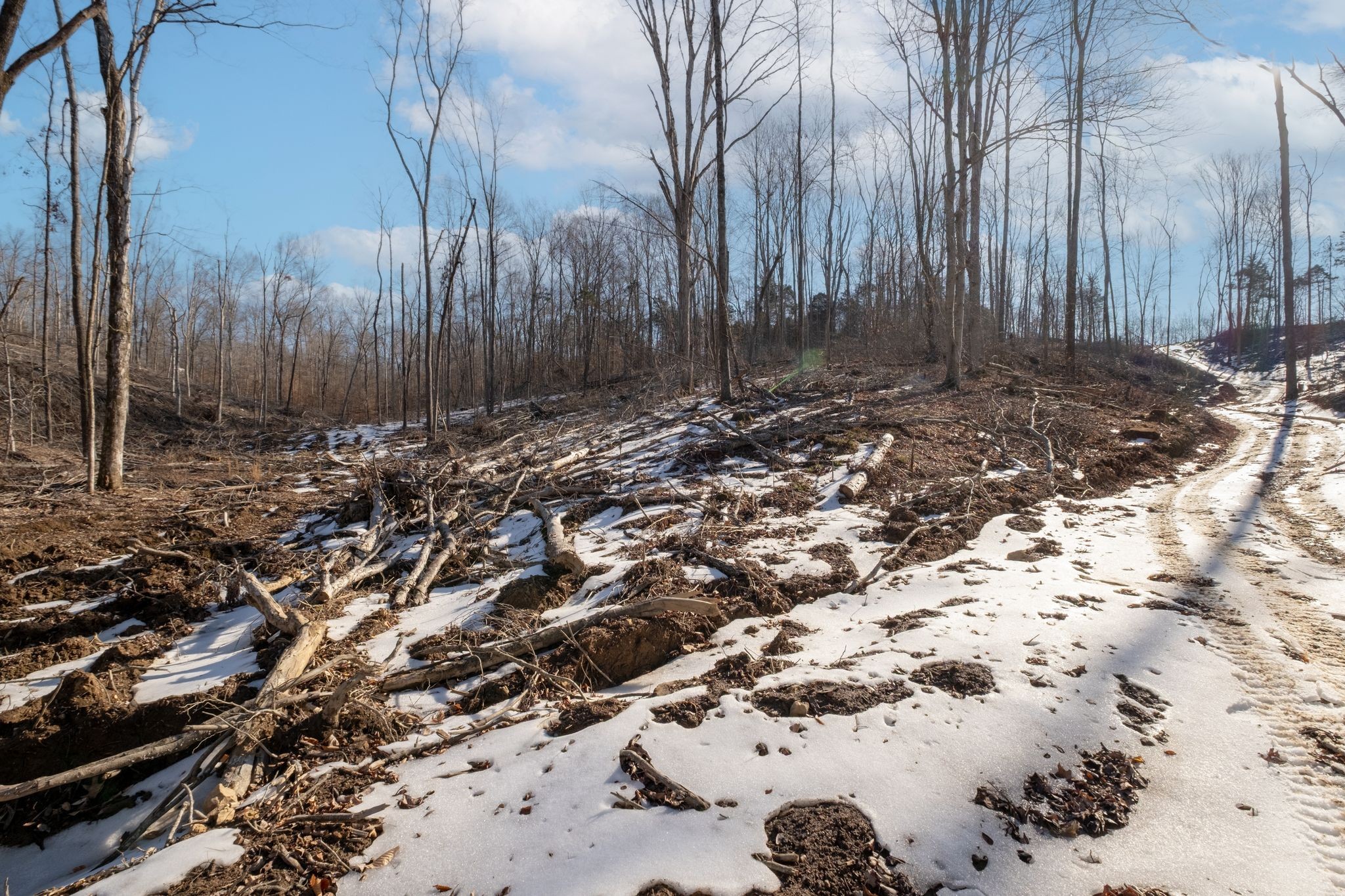 0 Singleton Road Dickson, TN 37055 - Photo 42 of 57 a view of a backyard of the house