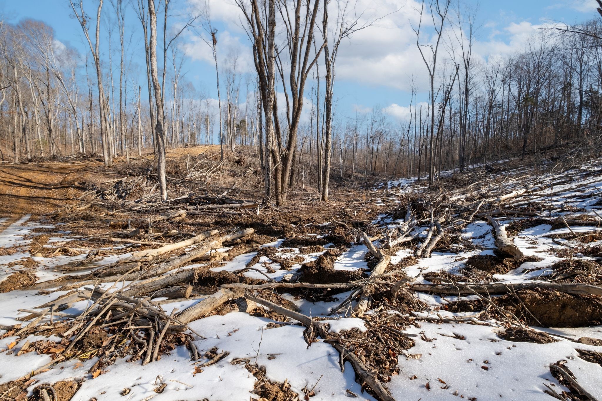 0 Singleton Road Dickson, TN 37055 - Photo 43 of 57 a view of a backyard of the house