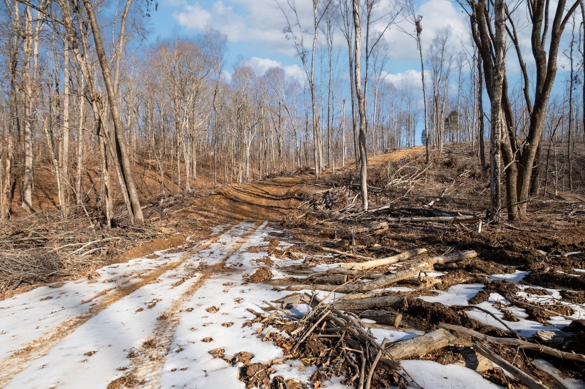 0 Singleton Road Dickson, TN 37055 - Photo 44 of 57 a view of a backyard of the house