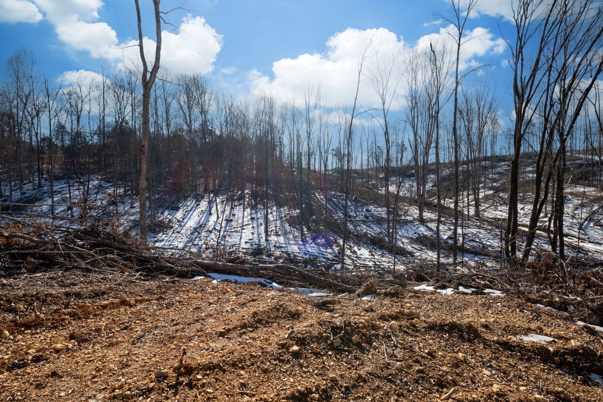 0 Singleton Road Dickson, TN 37055 - Photo 45 of 57 a view of a backyard of the house