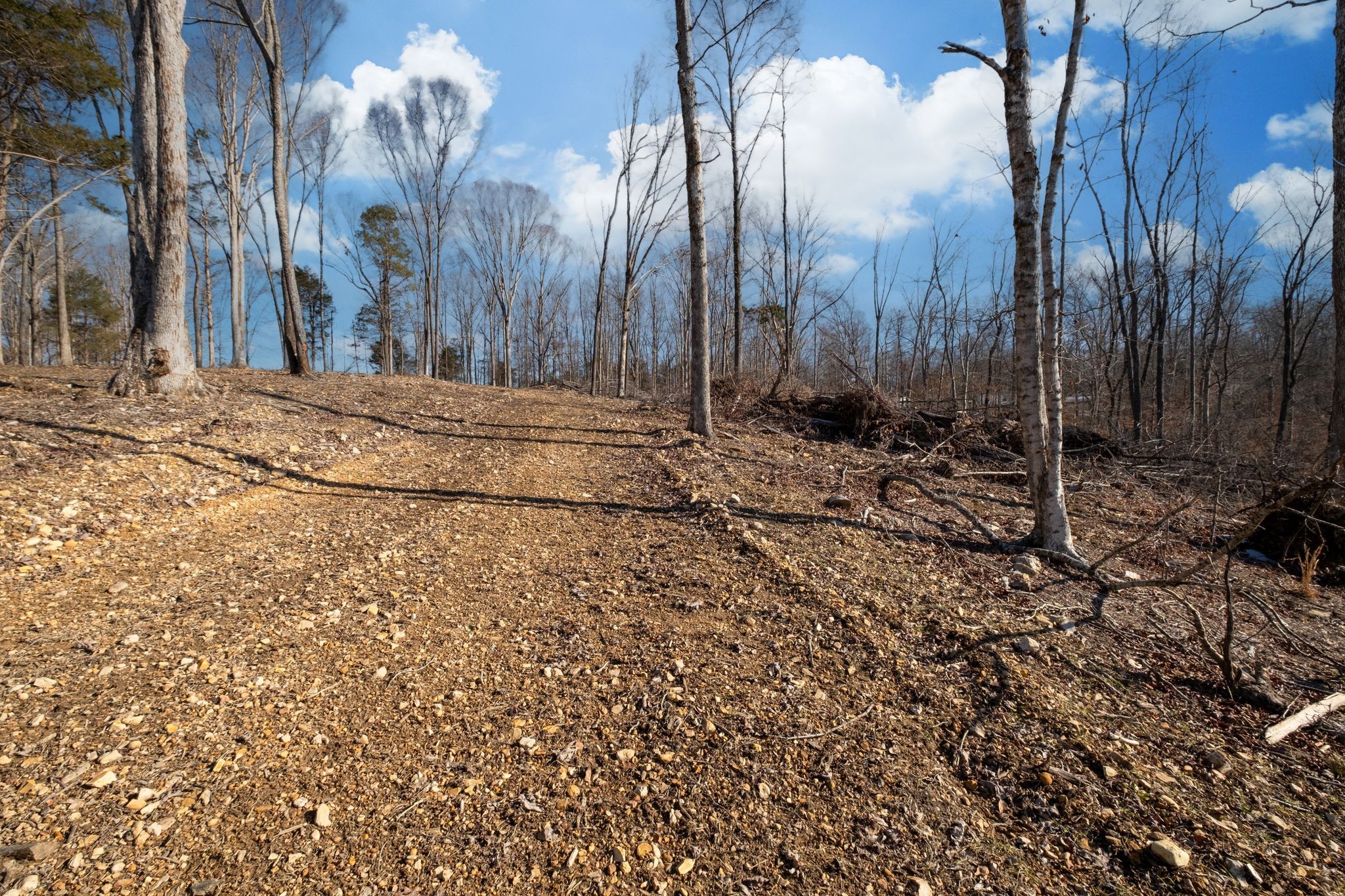 0 Singleton Road Dickson, TN 37055 - Photo 48 of 57 a view of a backyard of the house