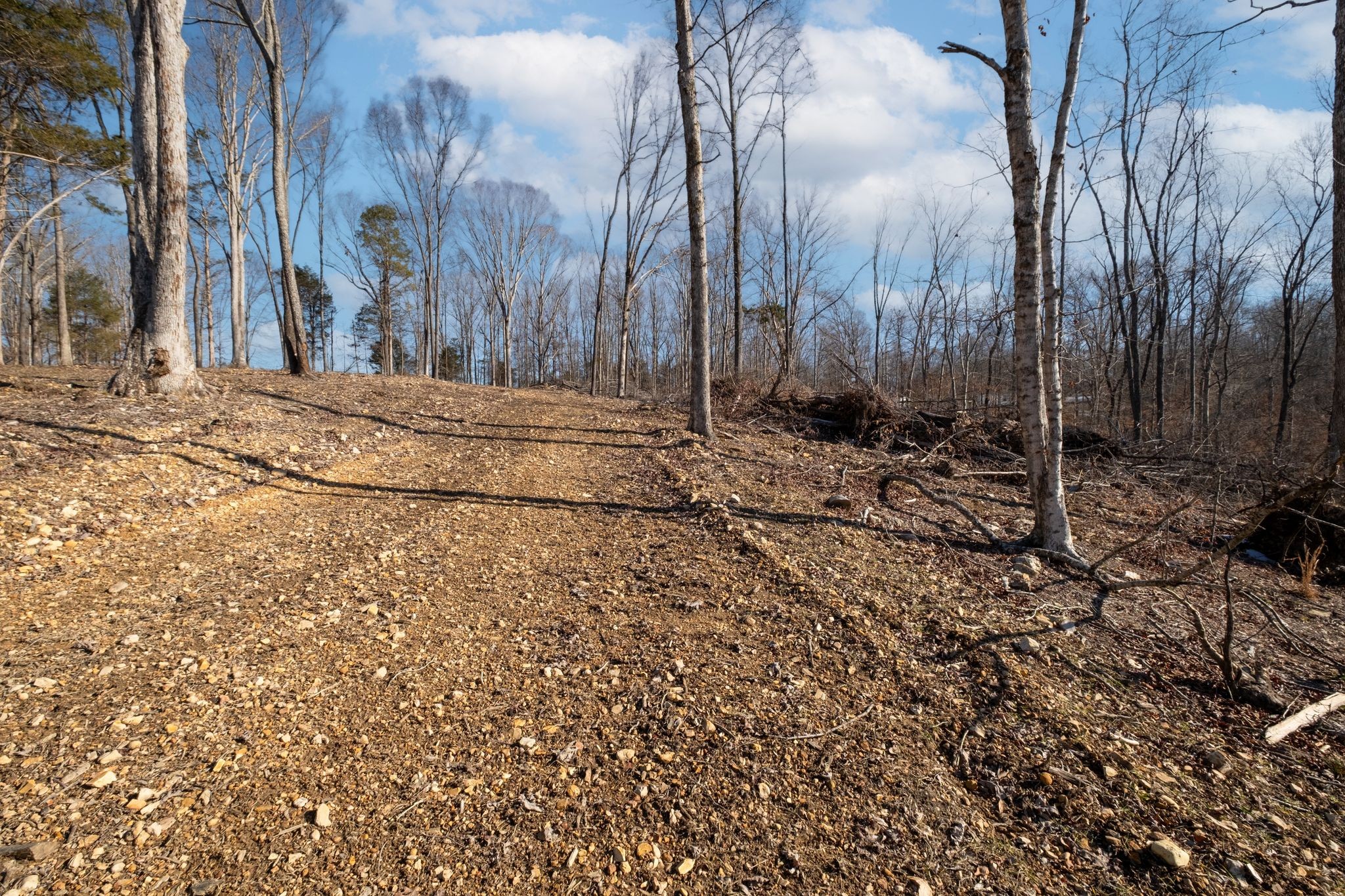 0 Singleton Road Dickson, TN 37055 - Photo 49 of 57 a view of a backyard of the house