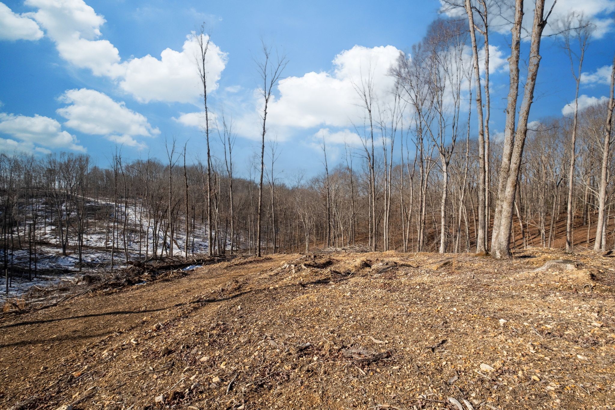 0 Singleton Road Dickson, TN 37055 - Photo 50 of 57 a view of a snow on the side of a road