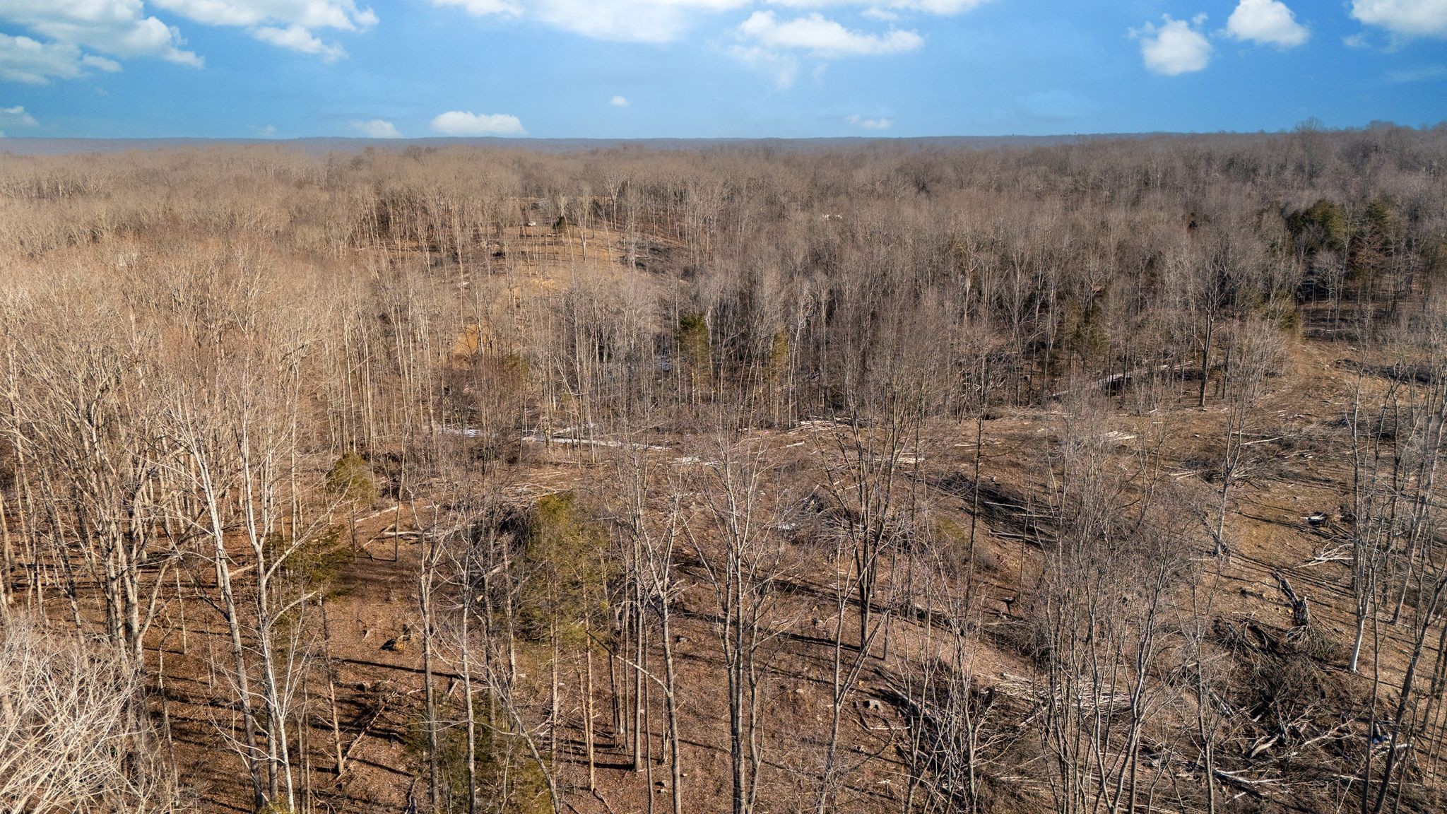 0 Singleton Road Dickson, TN 37055 - Photo 5 of 57 a view of a dry yard