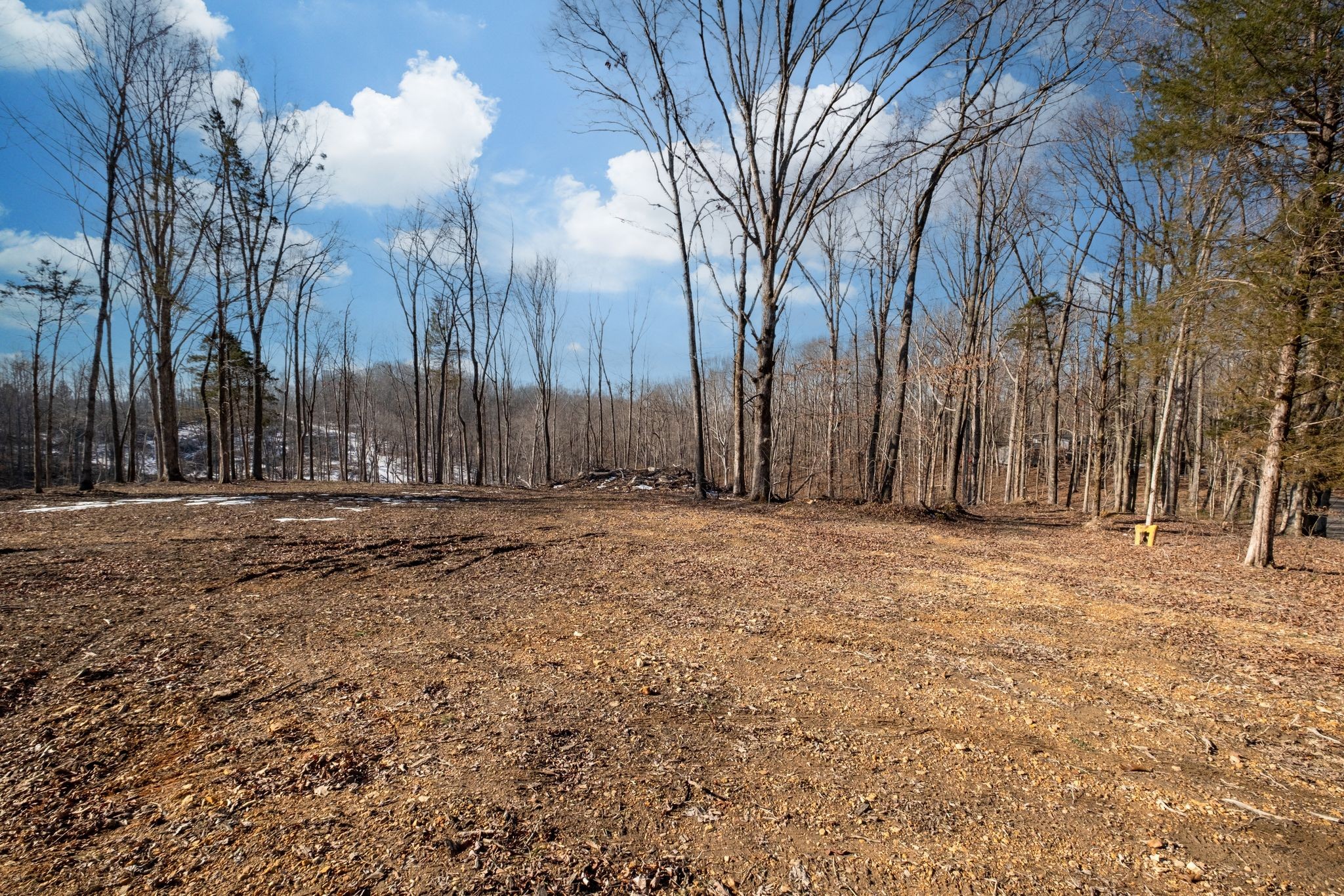 0 Singleton Road Dickson, TN 37055 - Photo 54 of 57 a view of outdoor space with trees