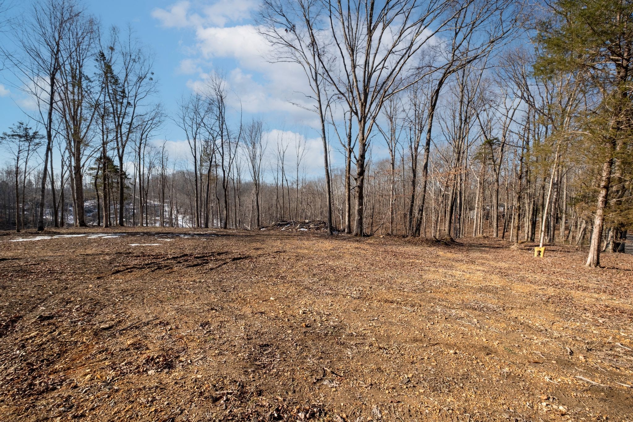 0 Singleton Road Dickson, TN 37055 - Photo 55 of 57 a view of large yard with trees