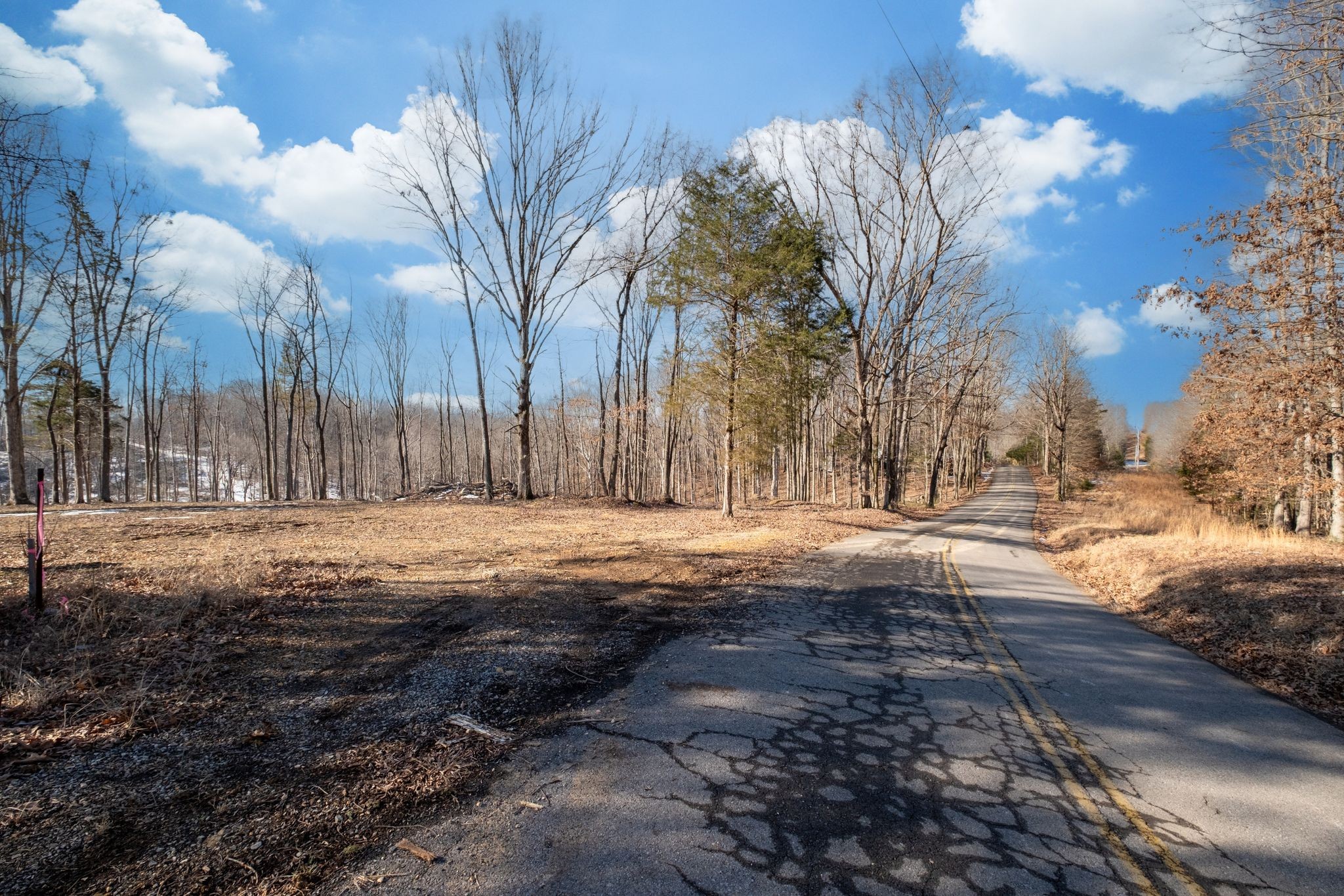 0 Singleton Road Dickson, TN 37055 - Photo 56 of 57 a street view covered with snow
