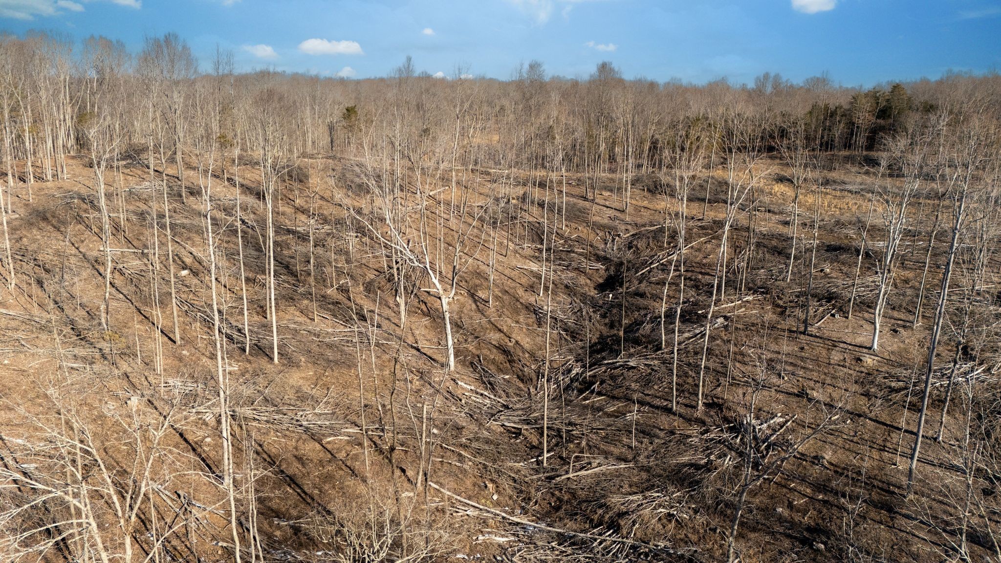 0 Singleton Road Dickson, TN 37055 - Photo 8 of 57 a view of a city