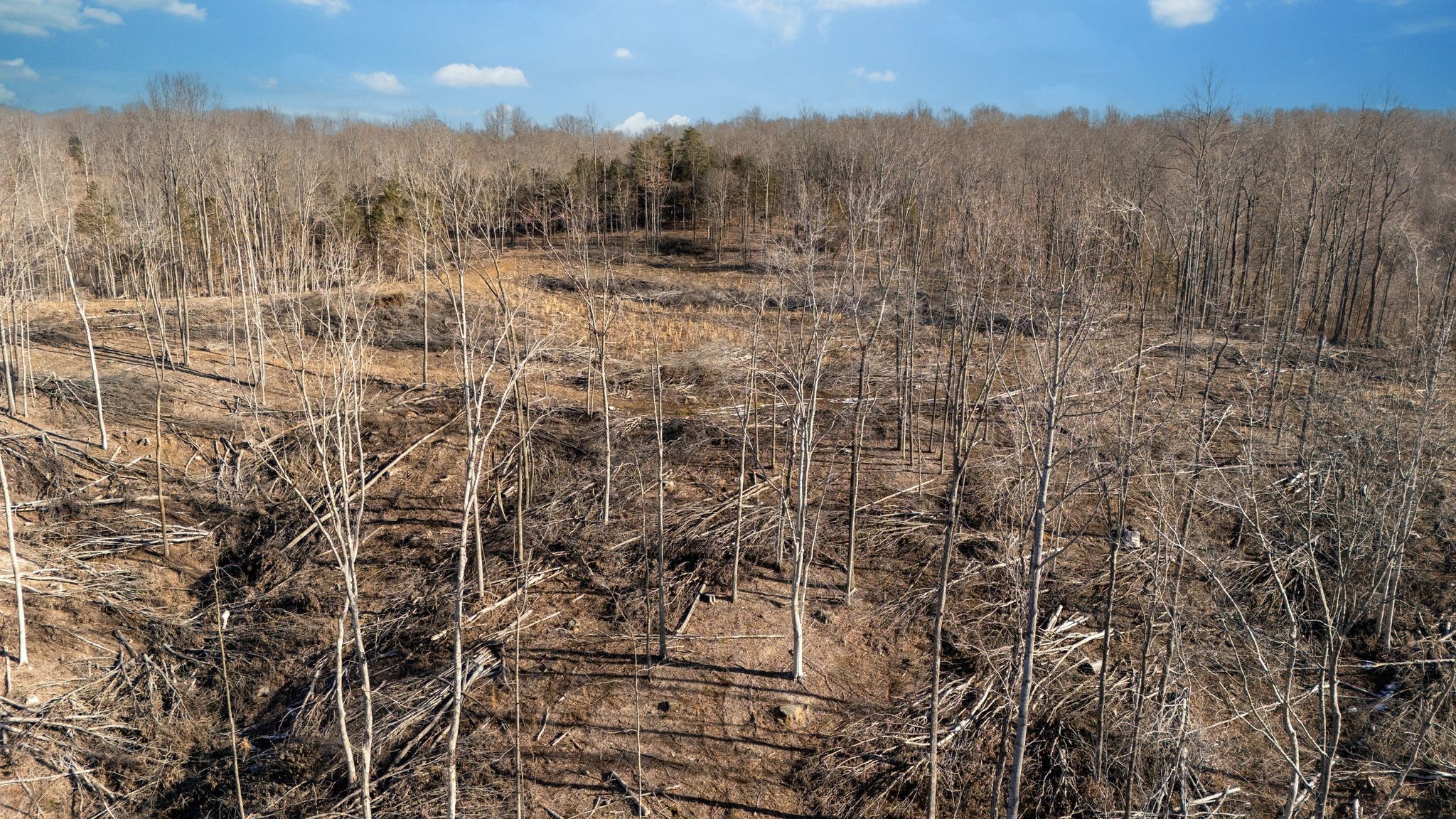 0 Singleton Road Dickson, TN 37055 - Photo 9 of 57 a view of a backyard of the house