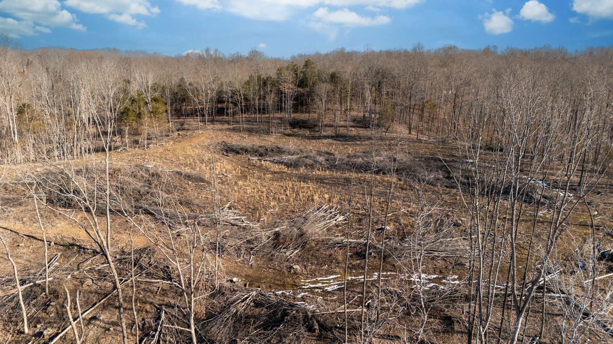 0 Singleton Road Dickson, TN 37055 - Photo 10 of 57 a view of a yard with trees in the background