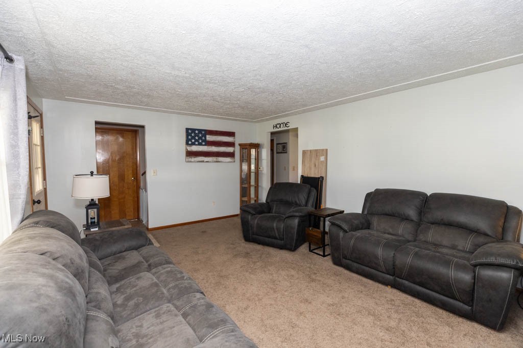 1085 Novak Road Grafton, OH 44044 - Photo 8 of 41 Living room with carpet and a textured ceiling