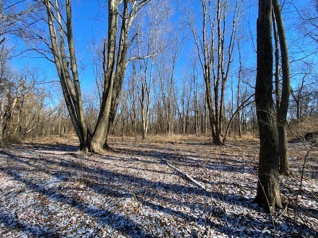 3.7-acres West Foster-Maineville Road Maineville, OH 45039 - Photo 4 of 8