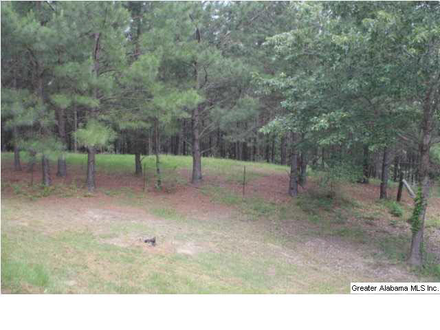 290 County Road 607 Clanton, AL 35046 - Photo 17 of 22