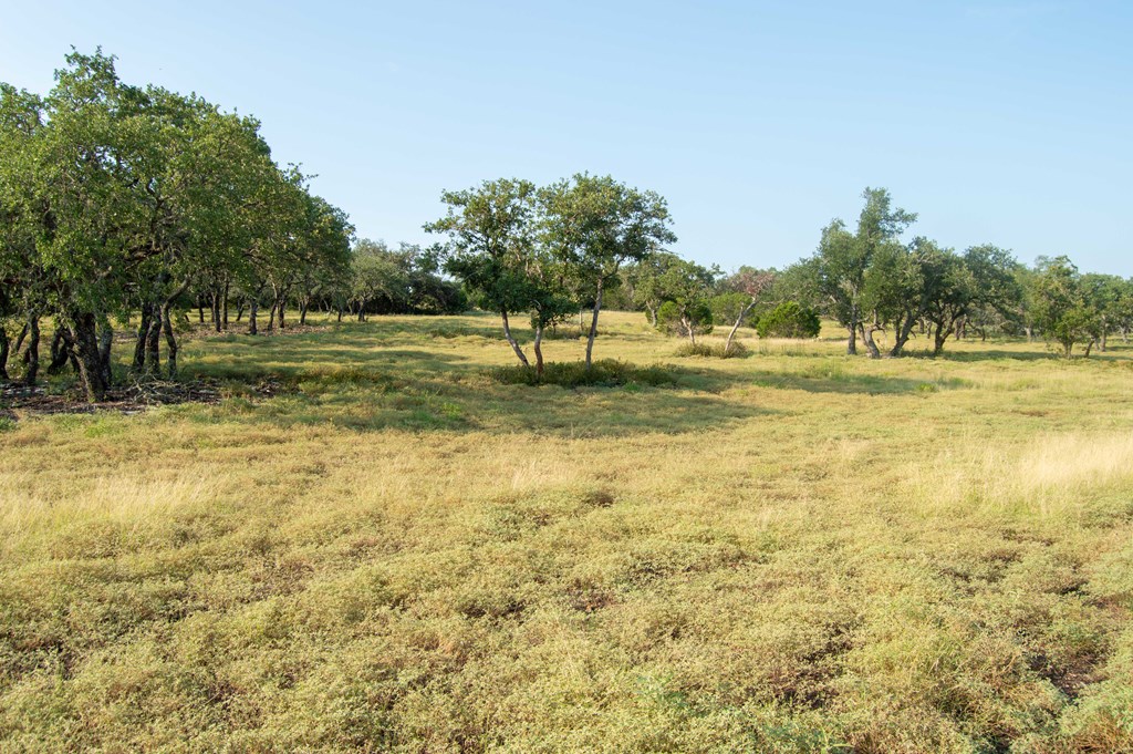 0 Elrincon Road Mountain Home, TX 78058 - Photo 18 of 20