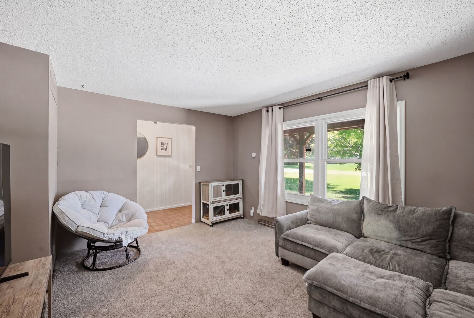 5645 Beebe Drive Rochelle, IL 61068 - Photo 9 of 43 a living room with furniture and a window