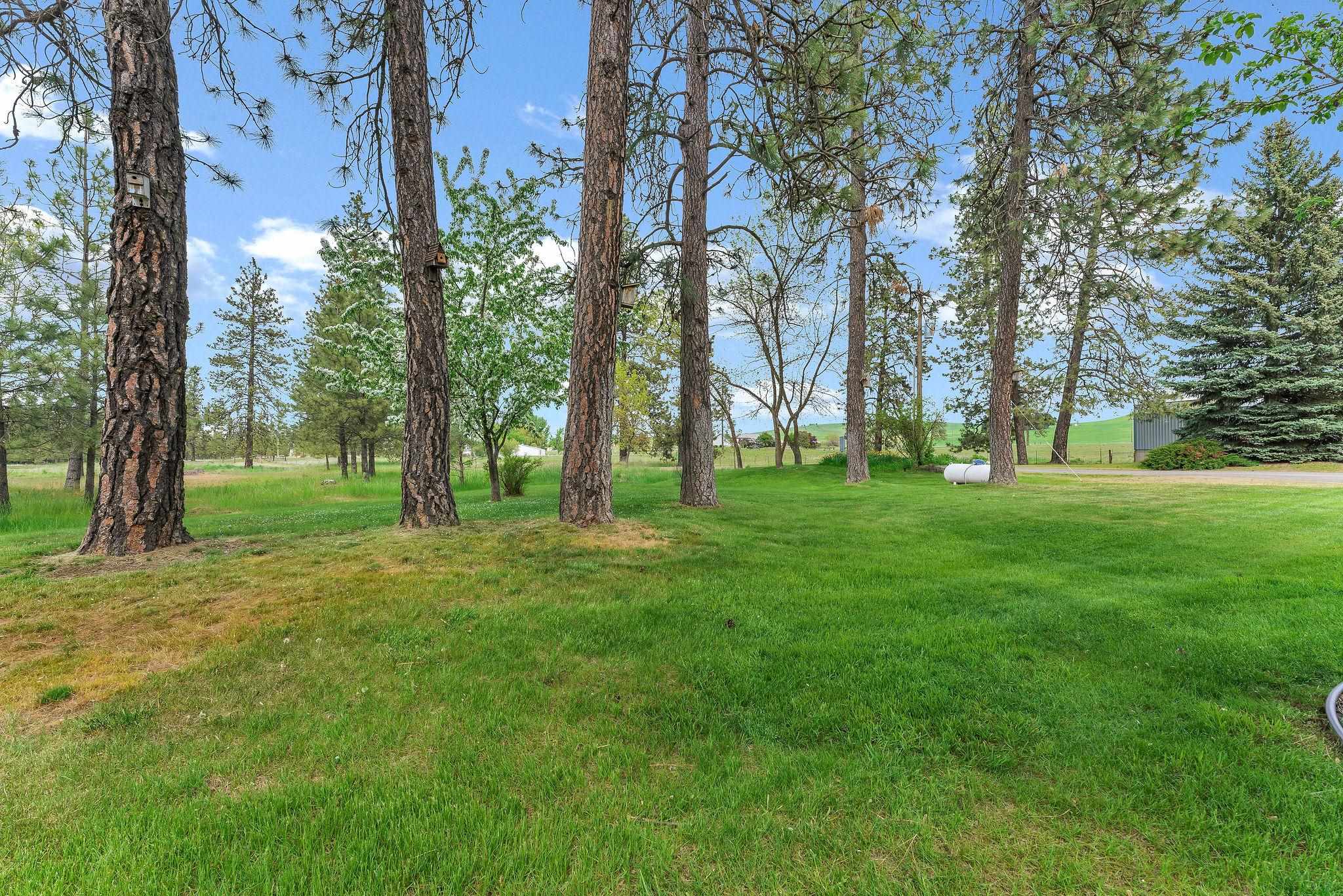 16615 West Stoughton Road Cheney, WA 99004 - Photo 30 of 50