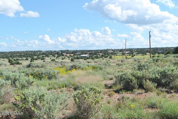 4707 West Rencher Snowflake, AZ 85937 - Photo 2 of 8