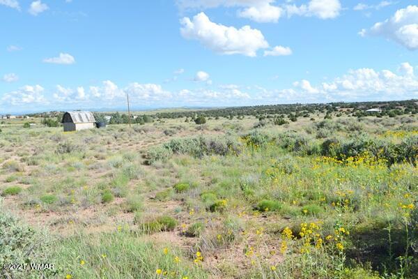 4707 West Rencher Snowflake, AZ 85937 - Photo 3 of 8