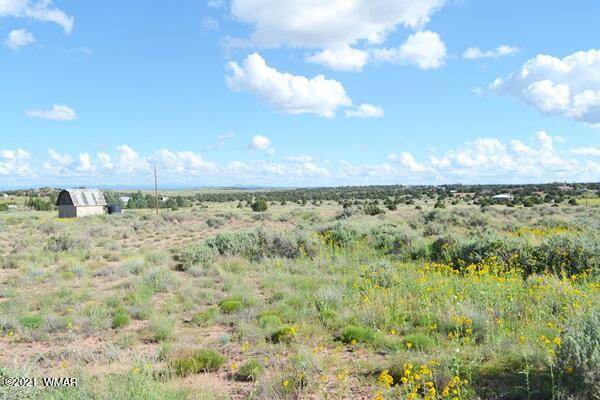 4707 West Rencher Snowflake, AZ 85937 - Photo 5 of 8