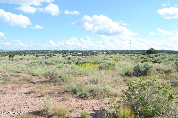 4707 West Rencher Snowflake, AZ 85937 - Photo 7 of 8