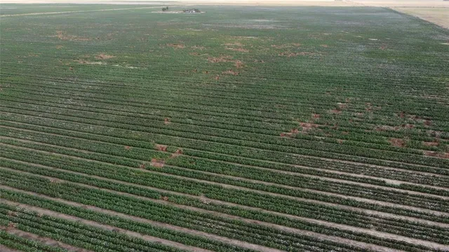 a view of wooden floor