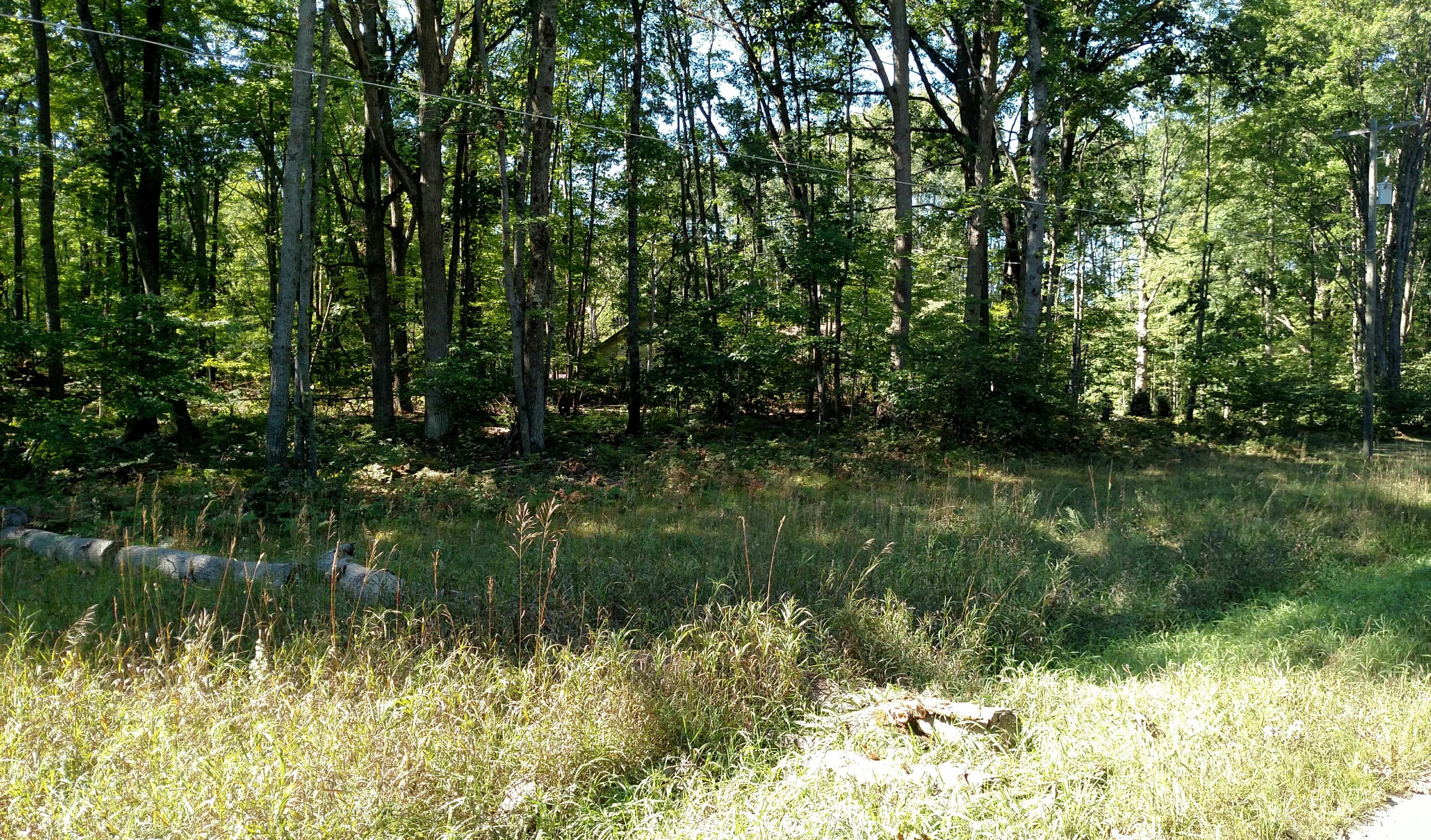 Xxx School Road Roscommon, MI 48653 - Photo 3 of 4