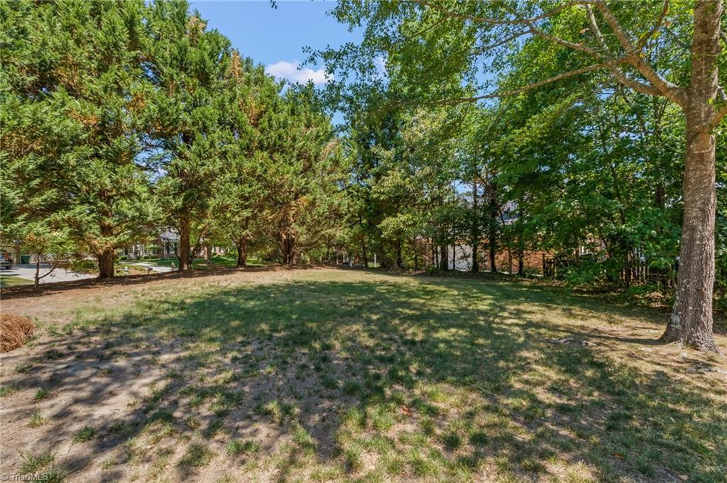 1700 Farnsworth Court High Point, NC 27262 - Photo 46 of 49