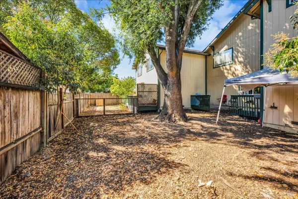 a view of a backyard with wooden fence and a large tree