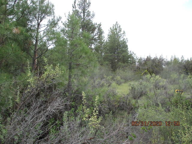 Lot 5 Partin Drive Beatty, OR 97621 - Photo 3 of 6 IMG_0467