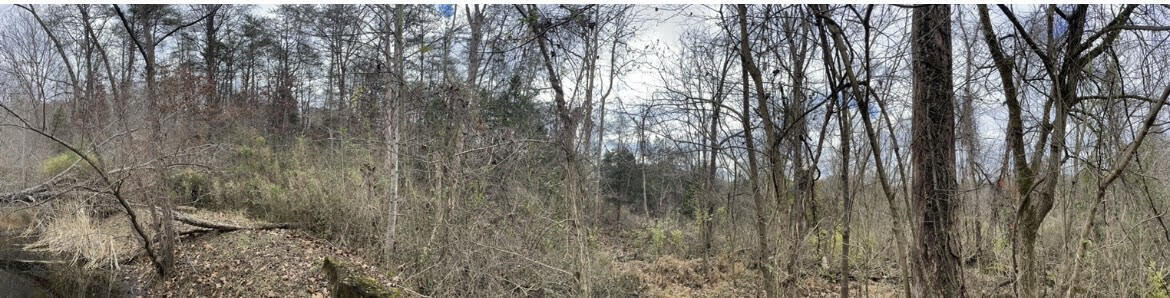 9999 John Rawlings Road Irvine, KY 40336 - Photo 5 of 6 unnamed-16