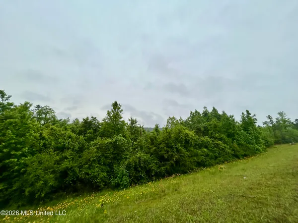 $119,000 | Ferguson Mill Road, Silver Creek, MS 39663